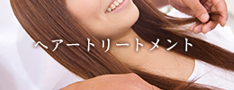ヘアートリートメント
